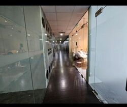 The Commerze@irving (D13), Retail #454963131